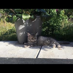 Meet your Posher, Brianne